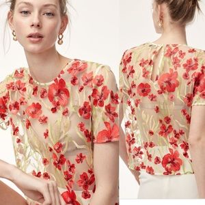 Aritzia little moon sheer embroidery floral top